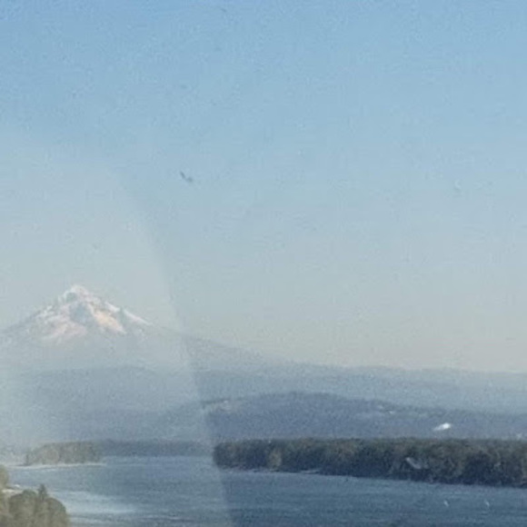 Meet your Posher, Mitchell - Picture 1 of 1